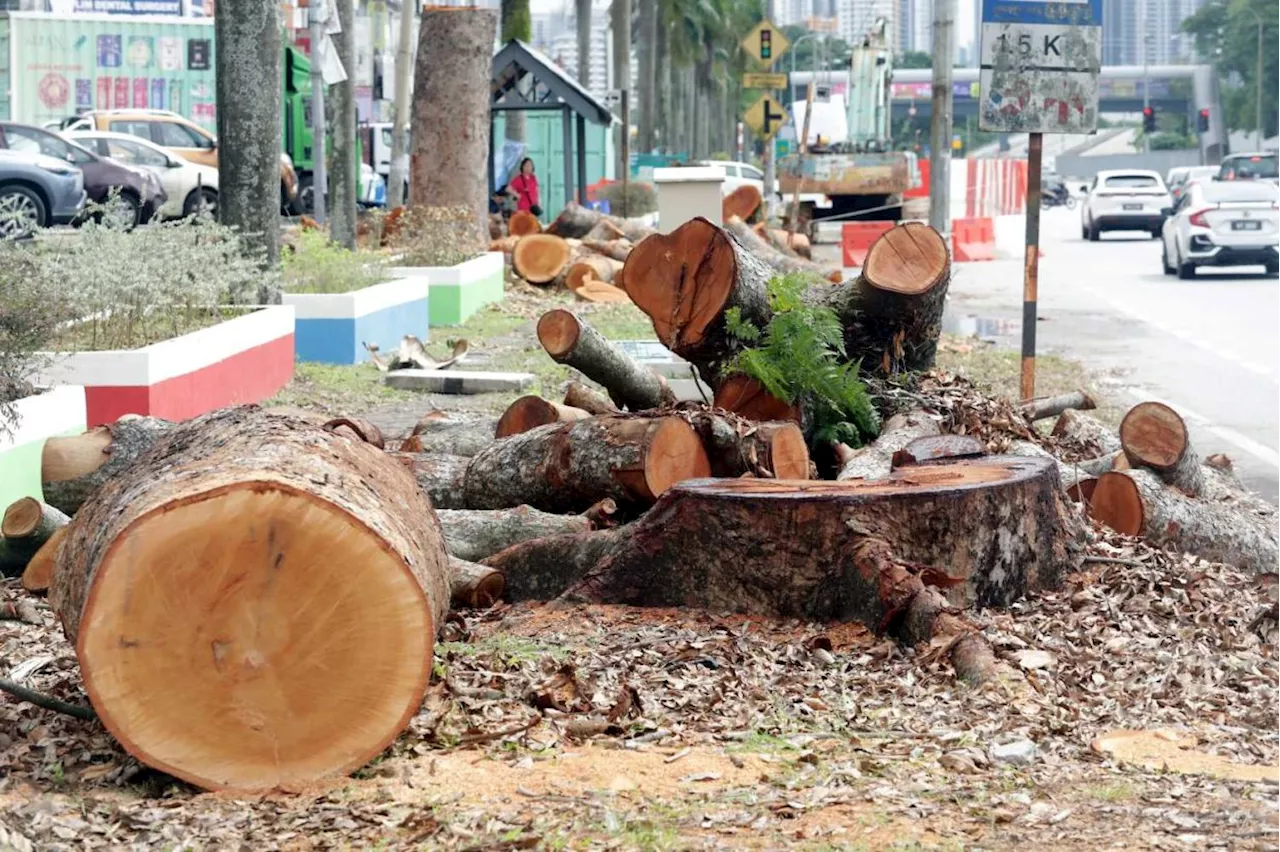 MBSJ to carry out tree maintenance at 18 locations