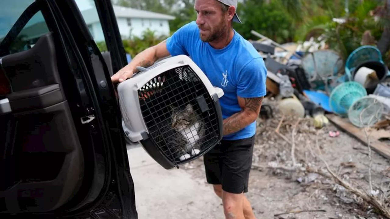 Unwetter: Florida rüstet sich für 'Milton' - Biden ändert Reisepläne