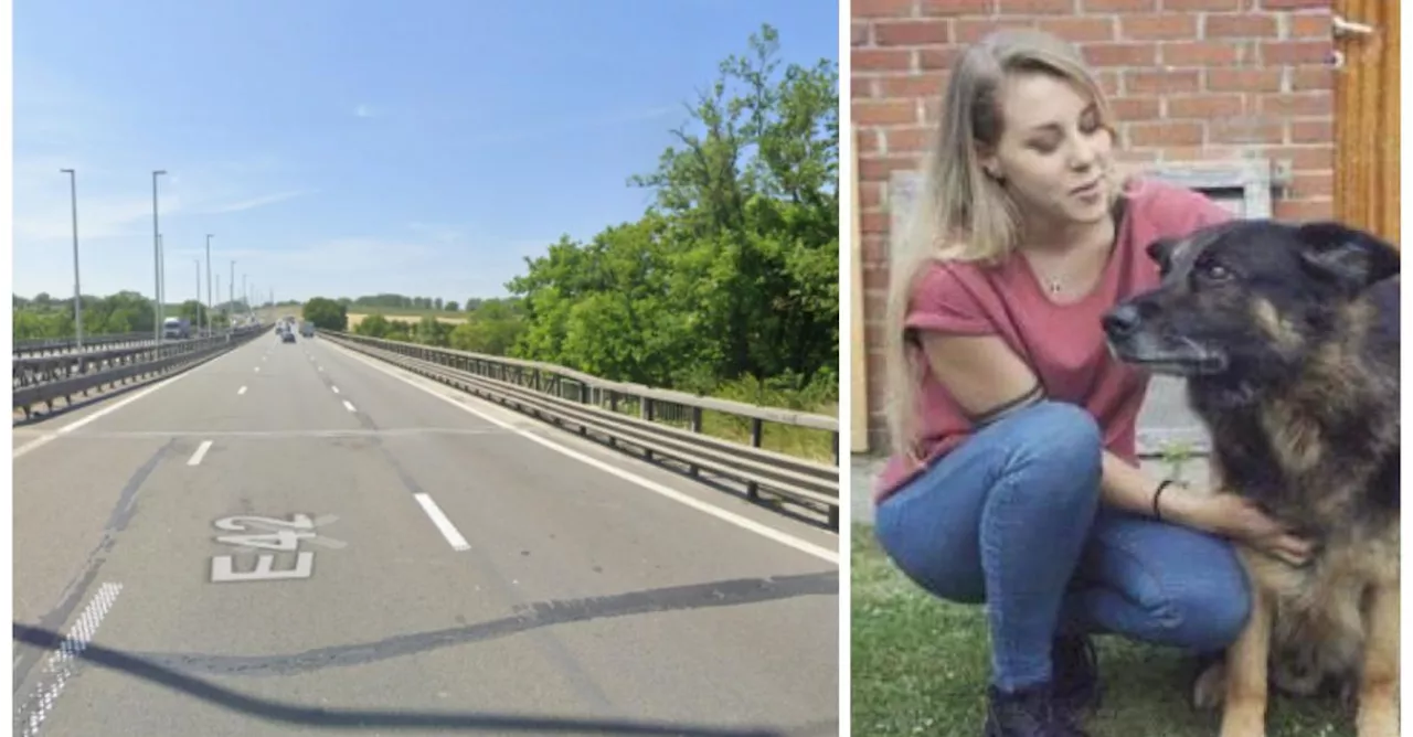 Donavan est bien responsable du décès de Charlotte Viroux (21), à Grâce-Hollogne, mais il est condamné à des