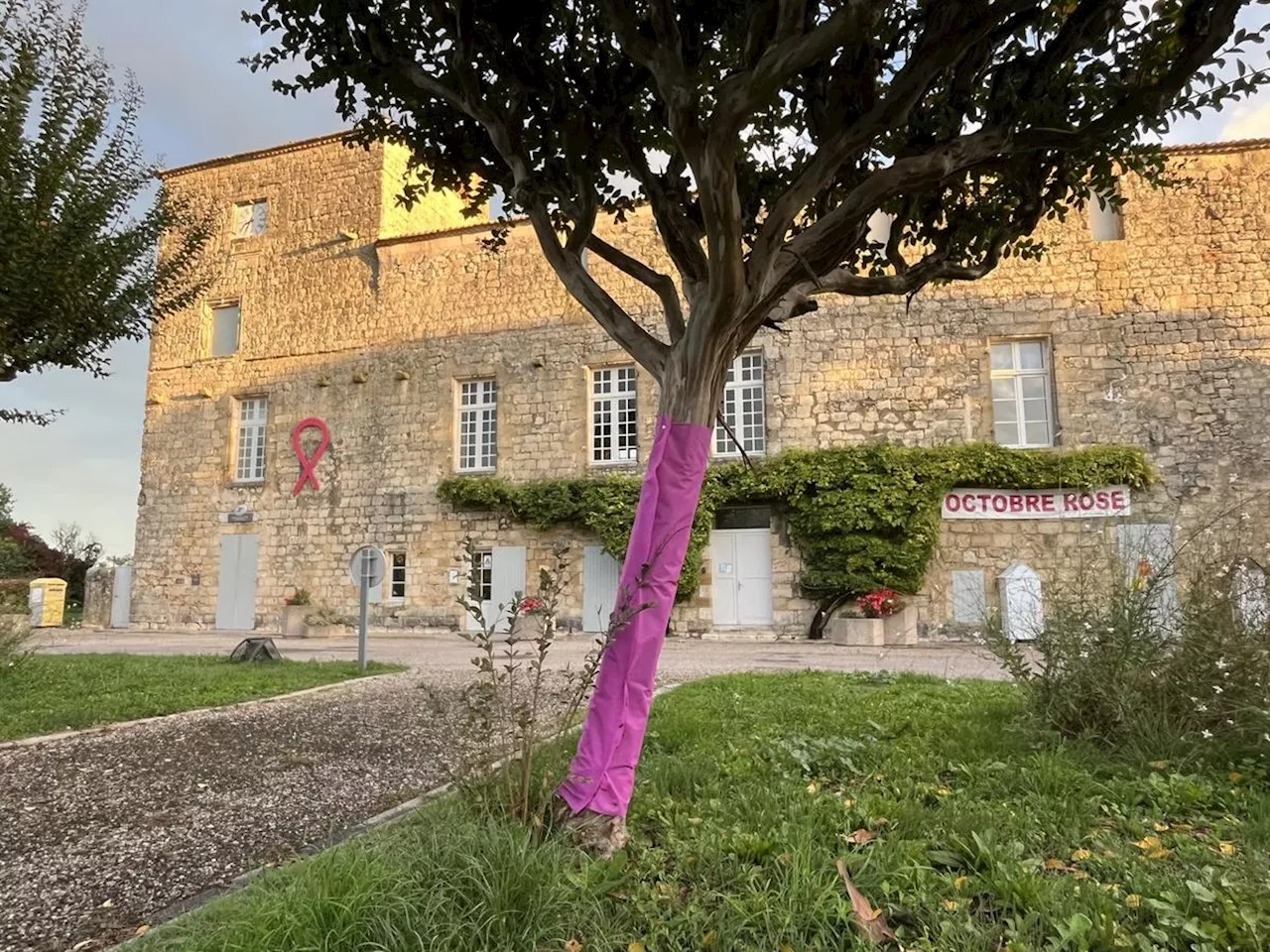 Gironde : Pujols se mobilise pour Octobre rose avec une marche solidaire et une exposition artistique