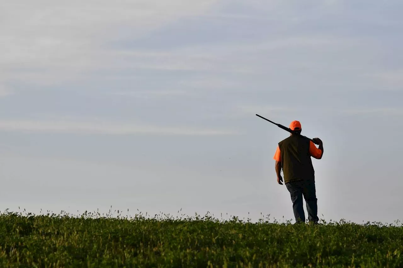 Roué de coups sur la route de la chasse par quatre jeunes qui lui volent sa voiture : « Ils m’ont tapé jusqu’à ce que je lâche les clés »