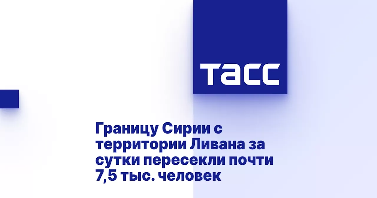 Границу Сирии с территории Ливана за сутки пересекли почти 7,5 тыс. человек