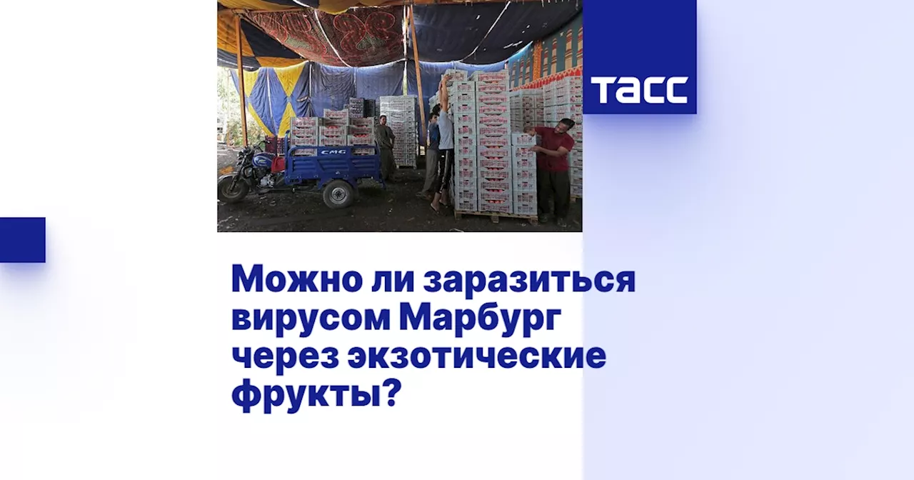 Можно ли заразиться вирусом Марбург через экзотические фрукты?