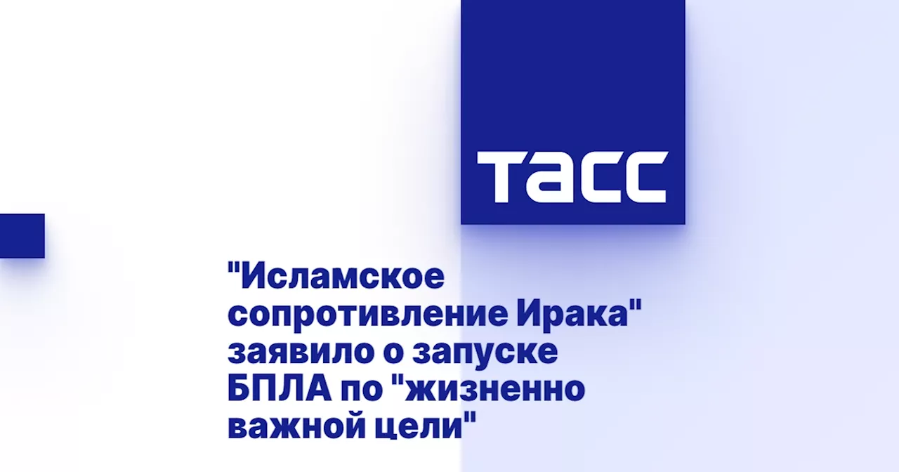 'Исламское сопротивление Ирака' заявило о запуске БПЛА по 'жизненно важной цели'