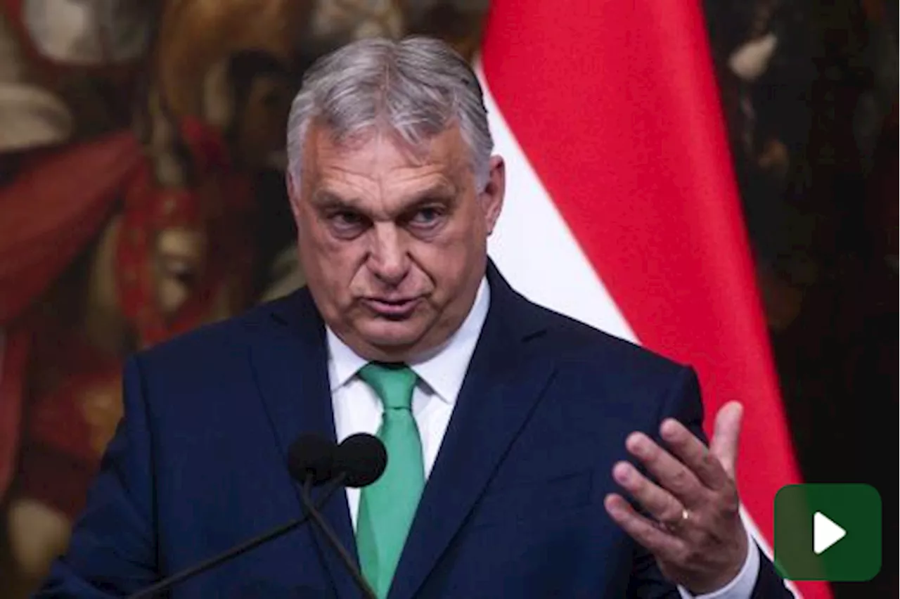 Orban: 'Salis una picchiatrice, assurdo parli di diritti'