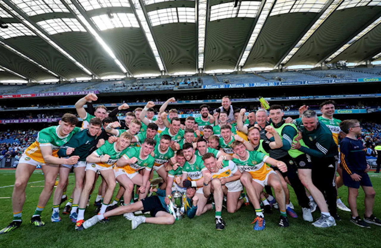 Champions Offaly and runners-up Laois dominate Joe McDonagh Team of the Year