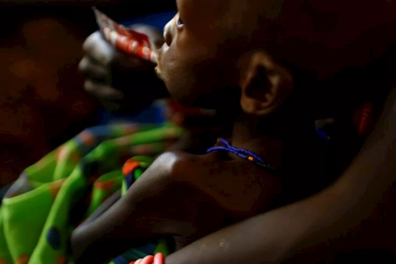 Hungry minds: Effects of malnutrition on Nigerian children