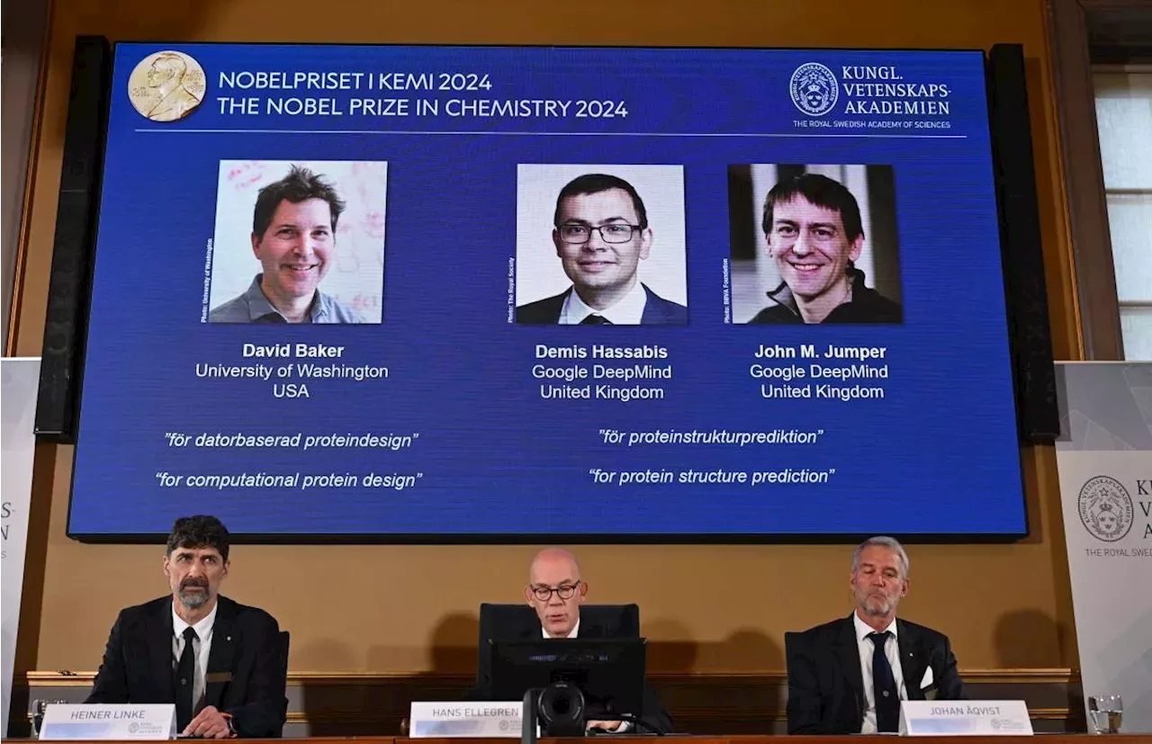 Nobel Prize In Chemistry Awarded To David Baker, Demis Hassabis And ...