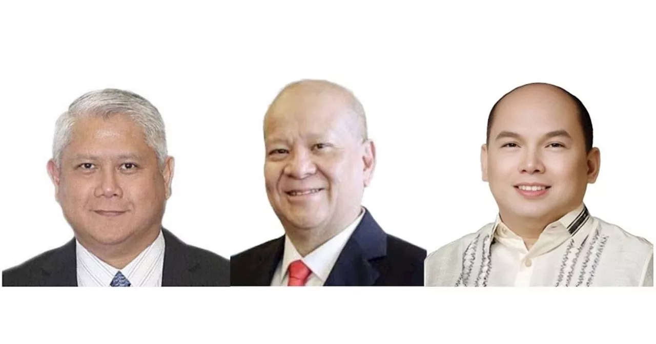 Ramon Ang, Glenn Banaguas, Dante Ang II lead climate change awards