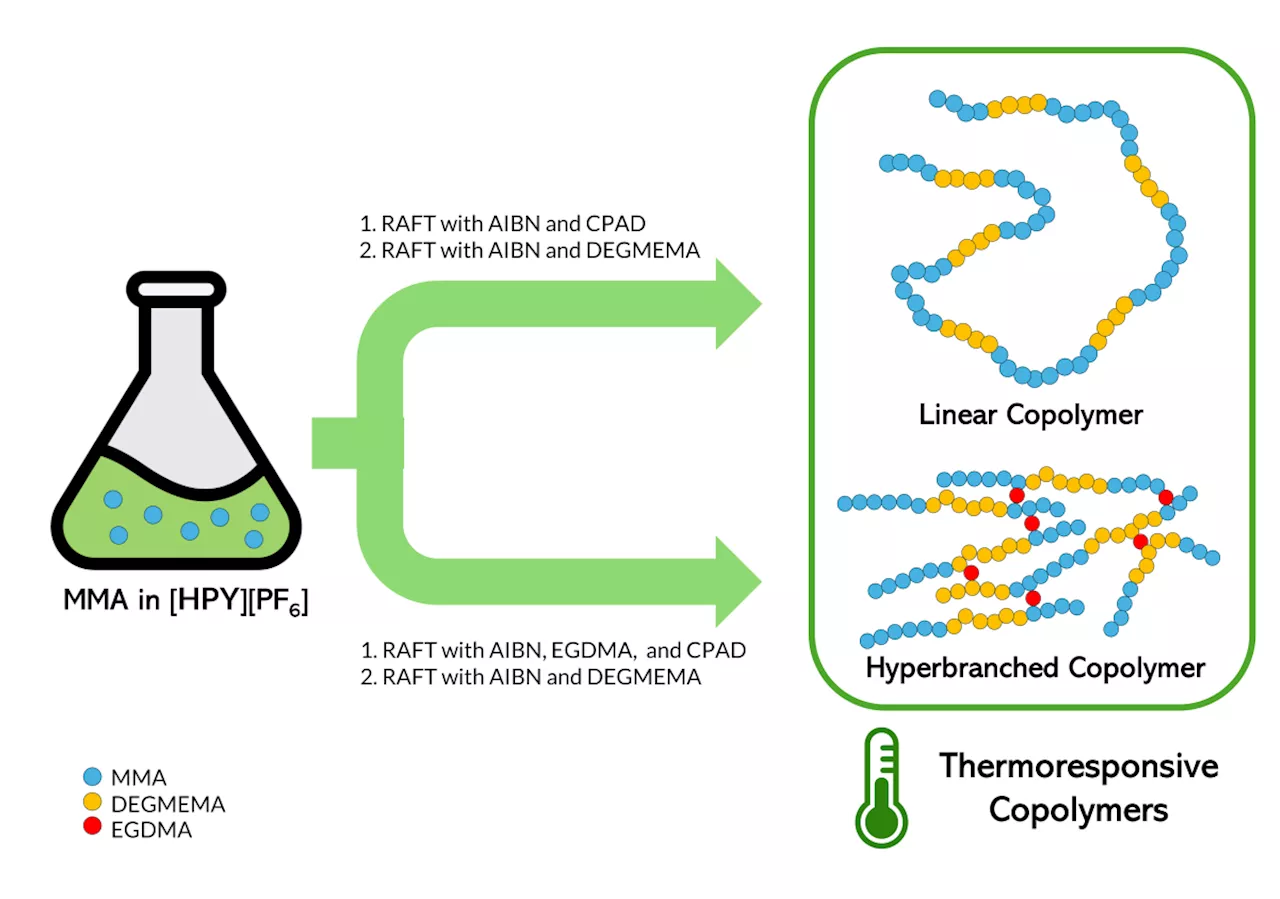 UP scientists create polymers for medical use