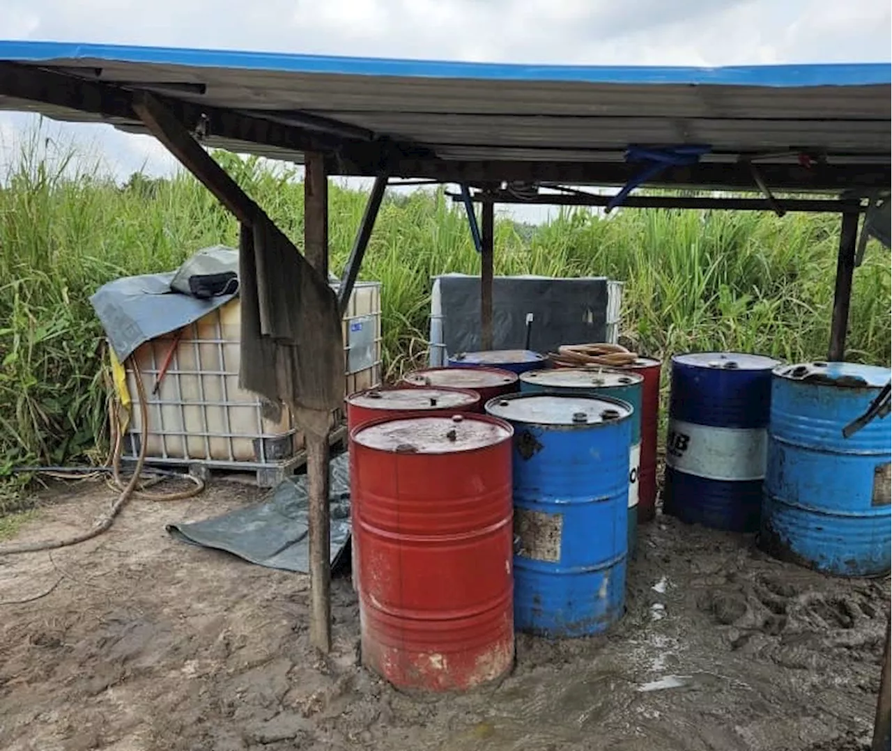 Bangsal dalam kebun pisang jadi lokasi seleweng diesel