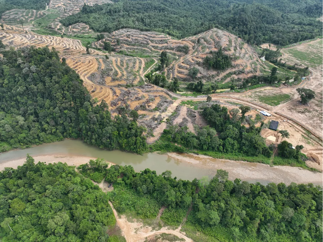 Hutan Sungai Lembing ditebang: Apa jawapan Kerajaan Negeri Pahang?