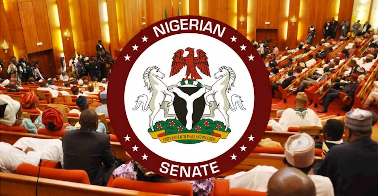 Flooding: Dredge Rivers Niger, Benue now, Senate tells Tinubu