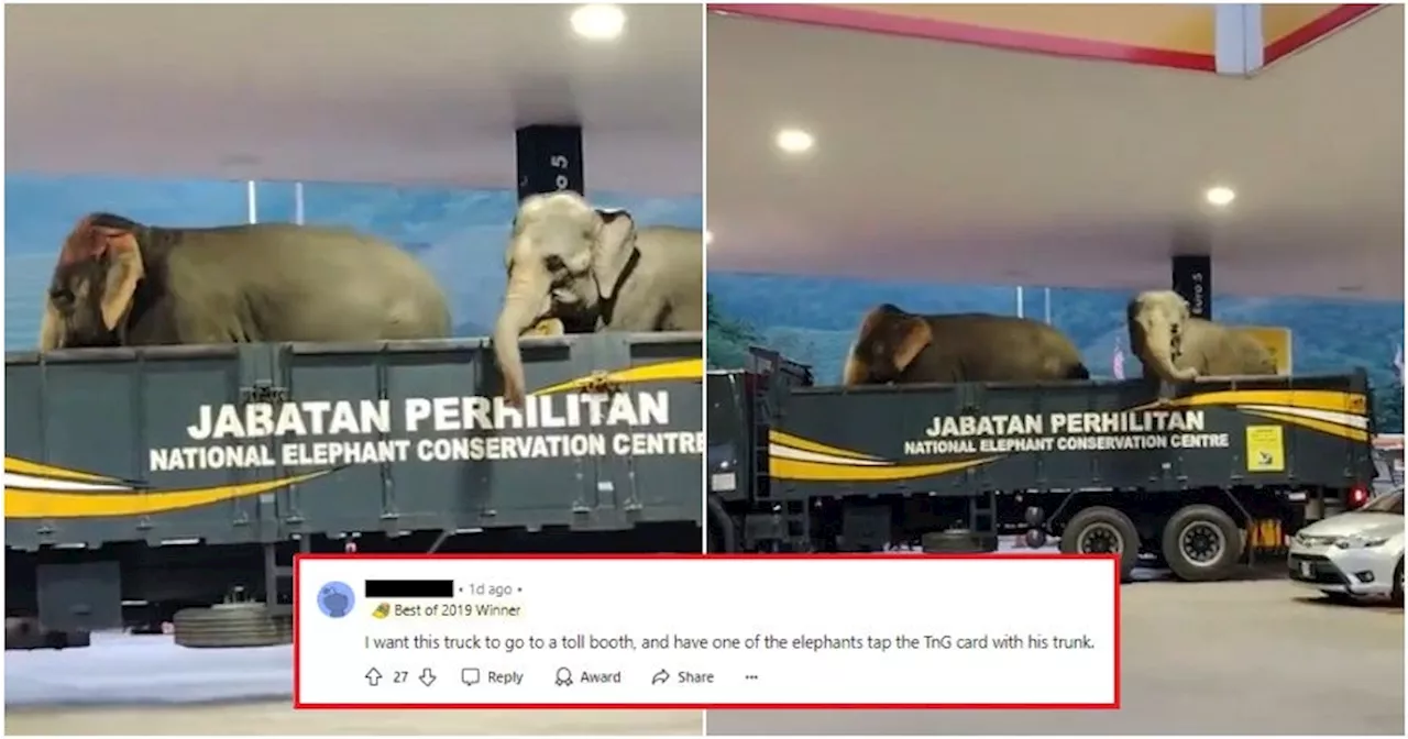 'Strangest thing you've ever seen' - M'sians Amused as Truck Carrying 2 Live Elephants Shows Up at Petrol Station