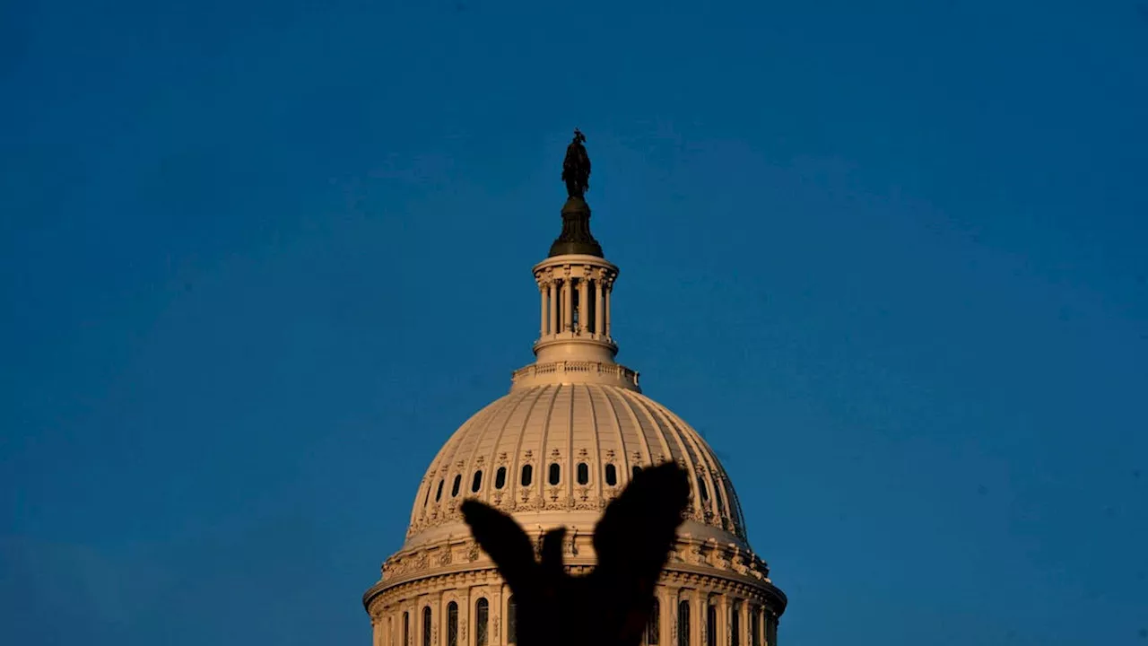 «Misstrauen in US-Wahlen wächst»: Die Gründe hinter der Skepsis