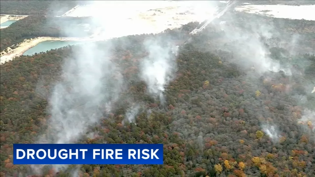 Drought makes for intense battle against wildfire in Cumberland County, New Jersey