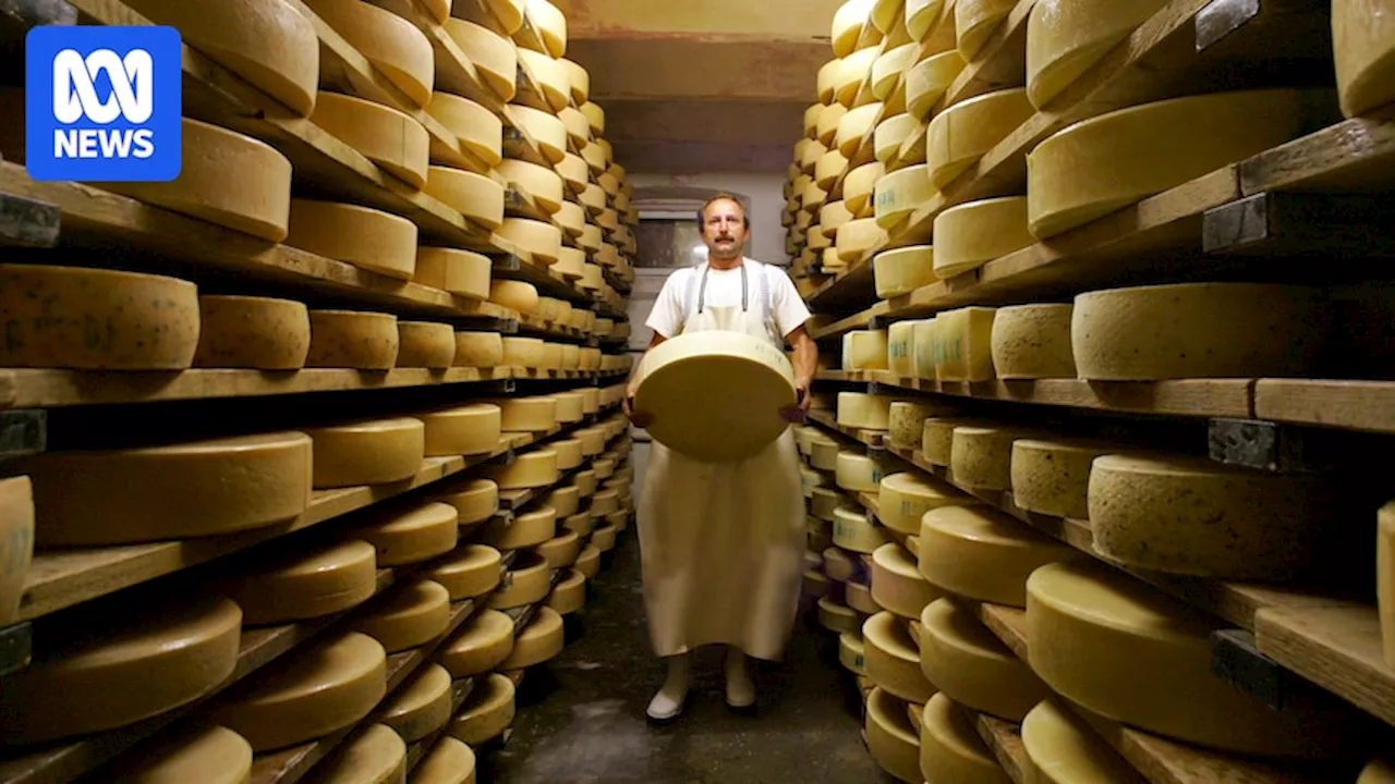 An order for 22 tonnes of artisan cheese from a London cheesemonger proven to be an almost $600,000 fraud as investigation unfolds