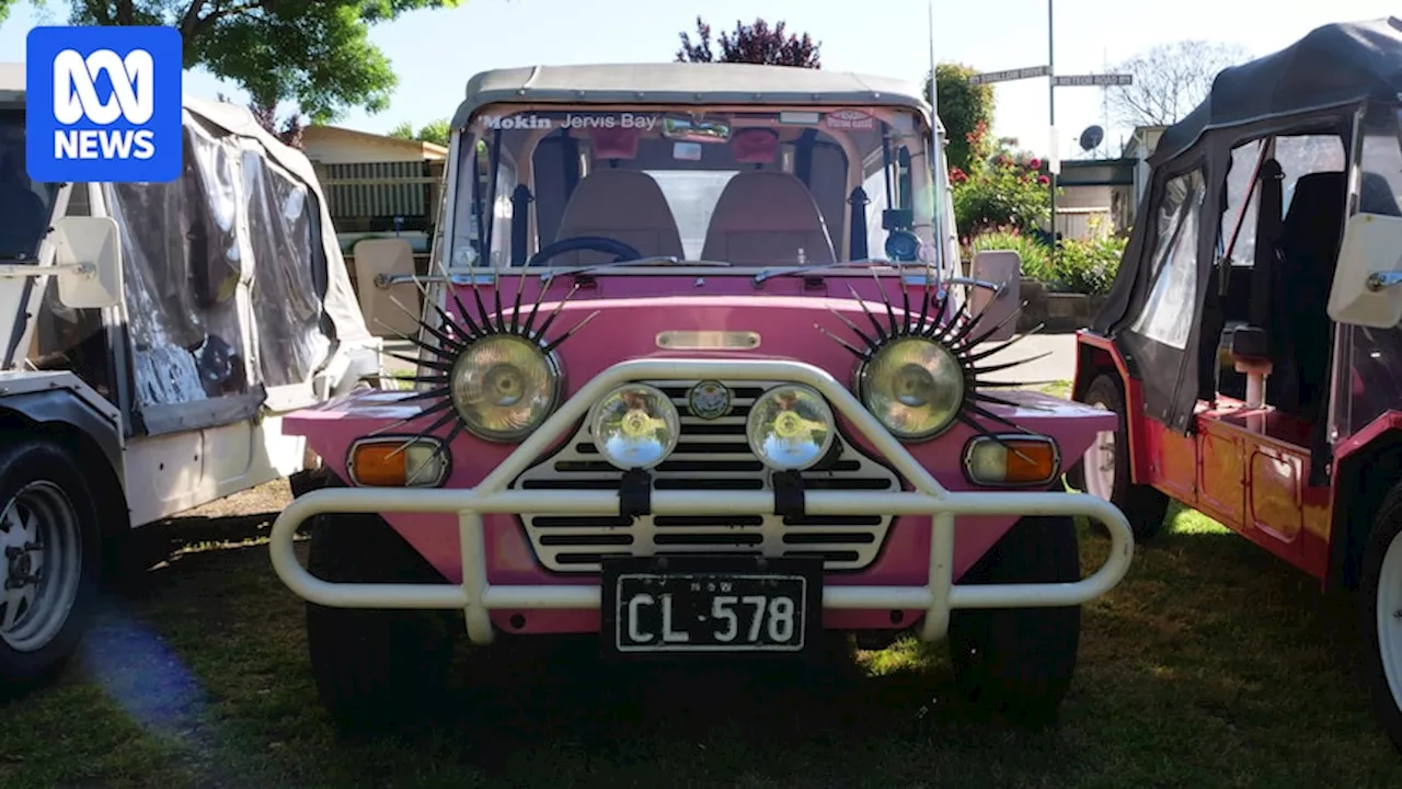 Car lovers keep Mini Moke magic alive proving old is as good as new