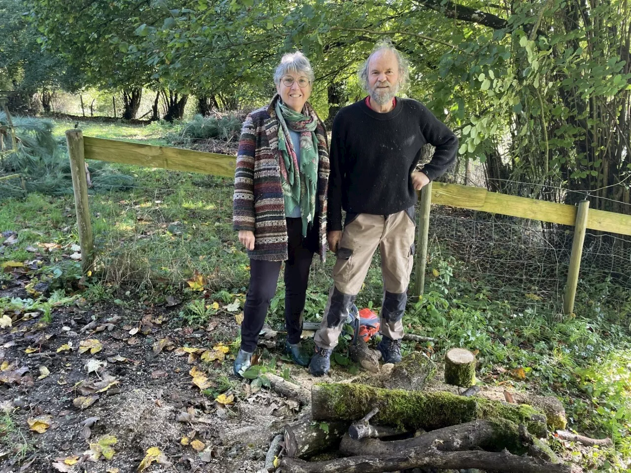 La Folêterie, un jardin extraordinaire dans l'Orne sculpté avec amour depuis 30 ans