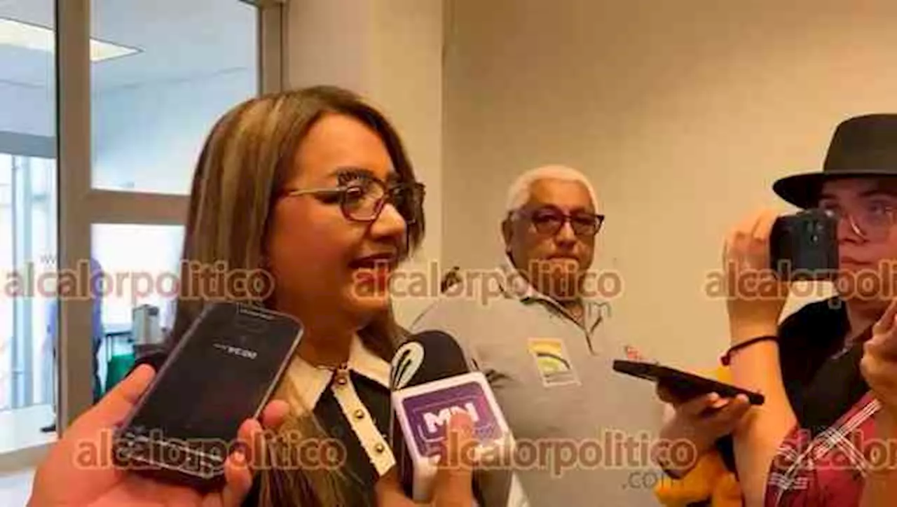 Alista OPLE contrataciones para integrar Consejos Municipales