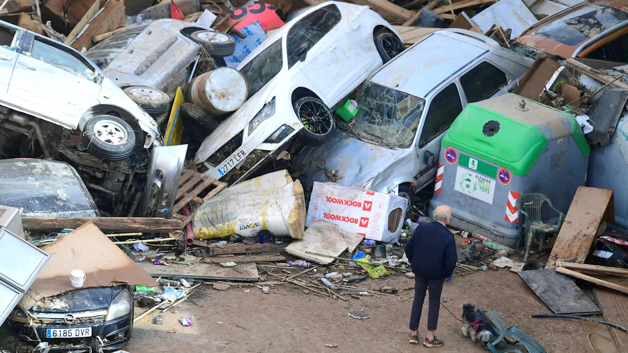 Inondations en Espagne: le maire de Sedavi craint des 'infections et maladies' et demande une aide...