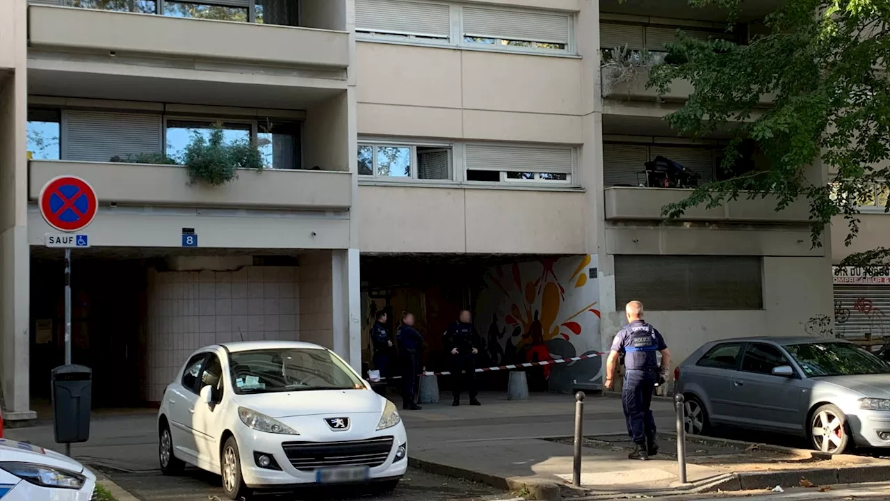 Villeurbanne: un homme retrouvé mort d'une balle dans la tête au Tonkin