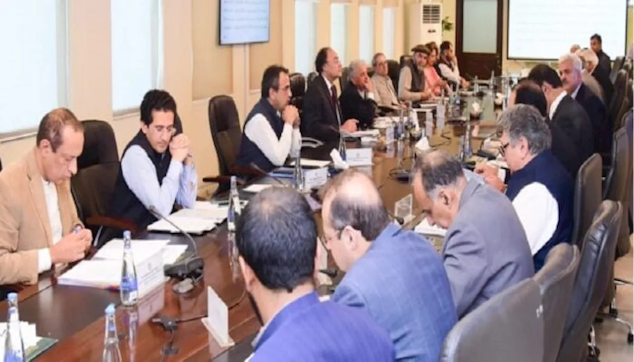 ECC approves grant of Rs1.8bn for VVIP aircraft of President, PM