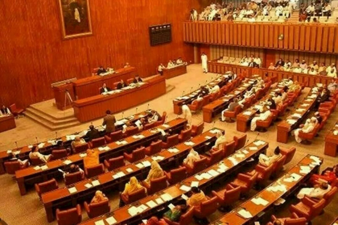 Senate body agrees to increase number of SC judges to 25