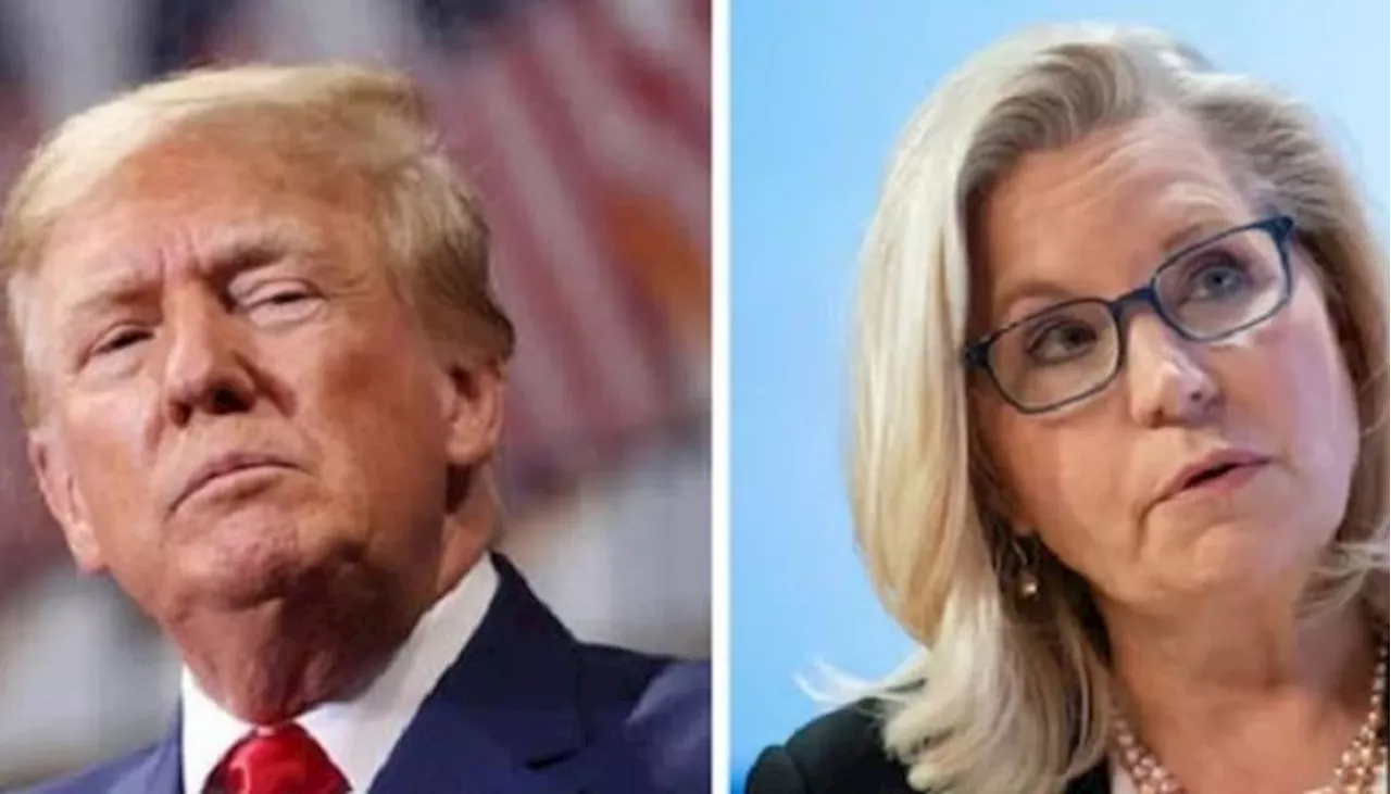 Trump cannot be trusted with presidency, will target adversaries: Liz Cheney