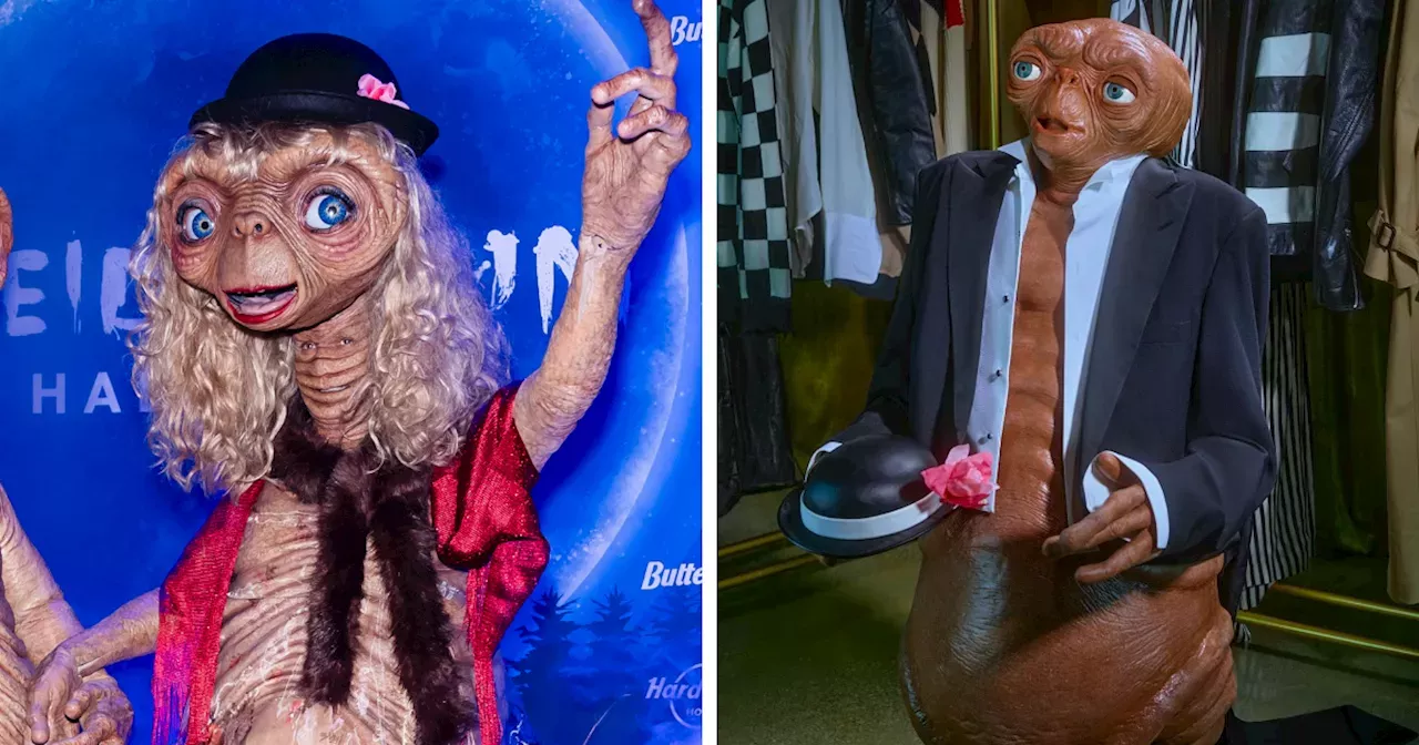 Heidi Klum Finally Unveils 2024 Halloween Costume In Rare Fail Canada