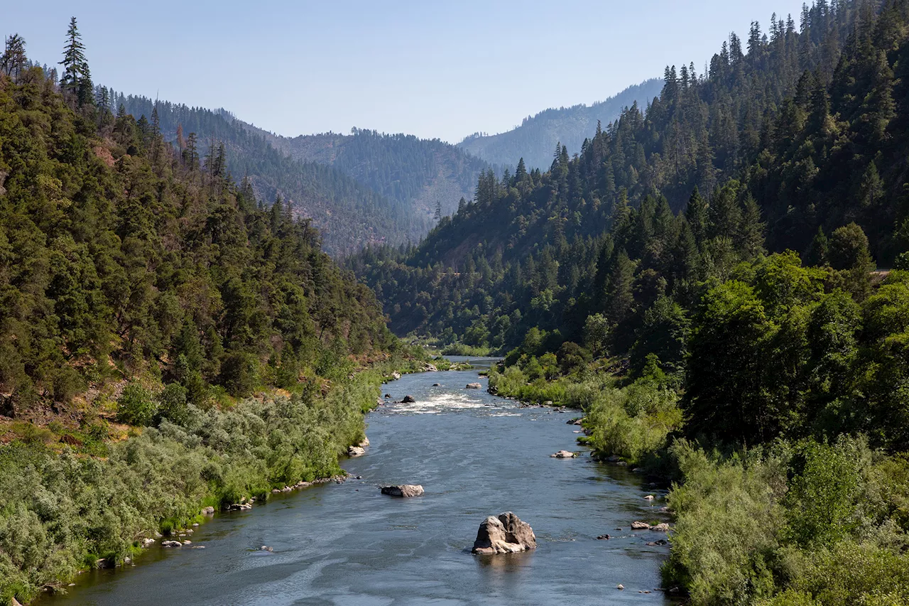 A century later, salmon again spawning in Klamath River after dams removed