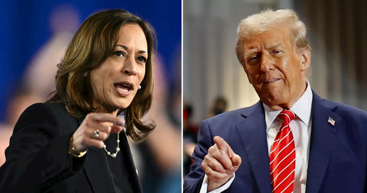 Election 2024 live updates as Trump vs. Harris polls show ties in key battleground states