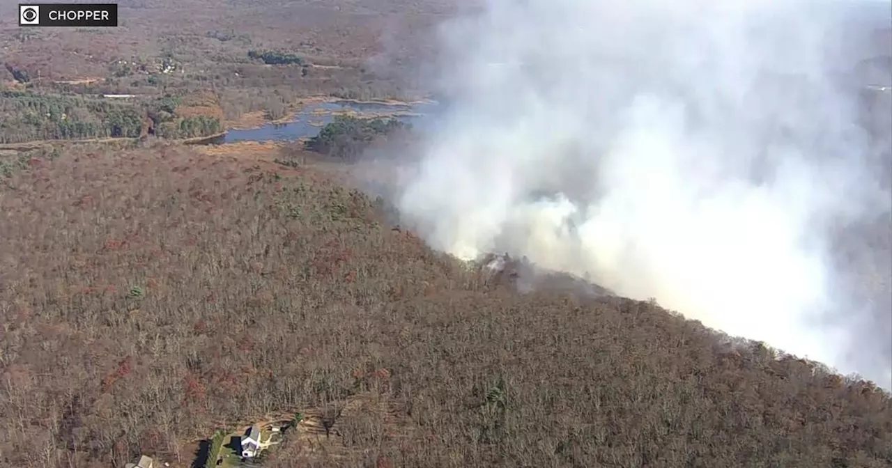 Wildfire in Rockaway Township, NJ park leads to evacuations