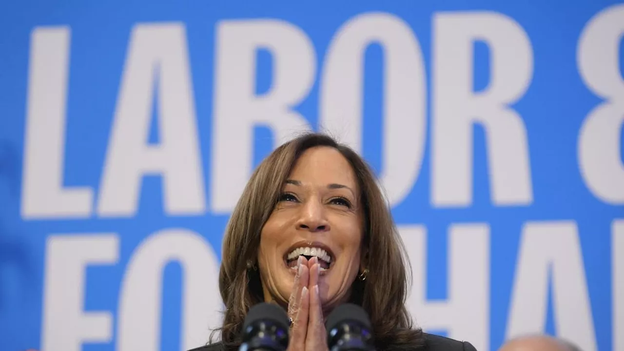 Elezioni Usa, il voto anticipato dà fiducia a Kamala Harris: già imbucate 65 milioni di schede. Trump choc su Liz Cheney