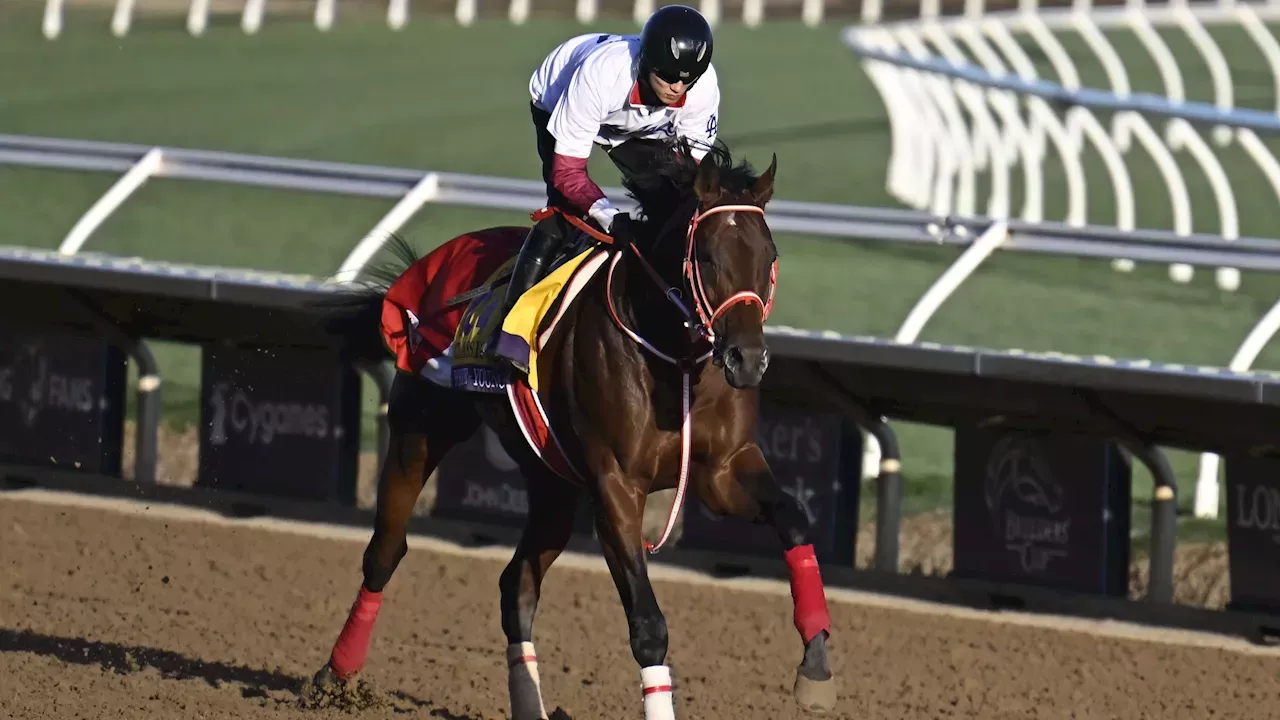 Breeders' Cup Predictions and Picks for Saturday Filly & Mare Sprint