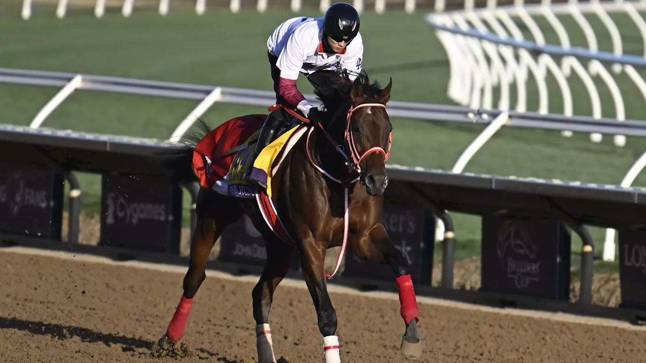 Breeders' Cup Predictions and Picks for Saturday: Filly & Mare Sprint, Classic