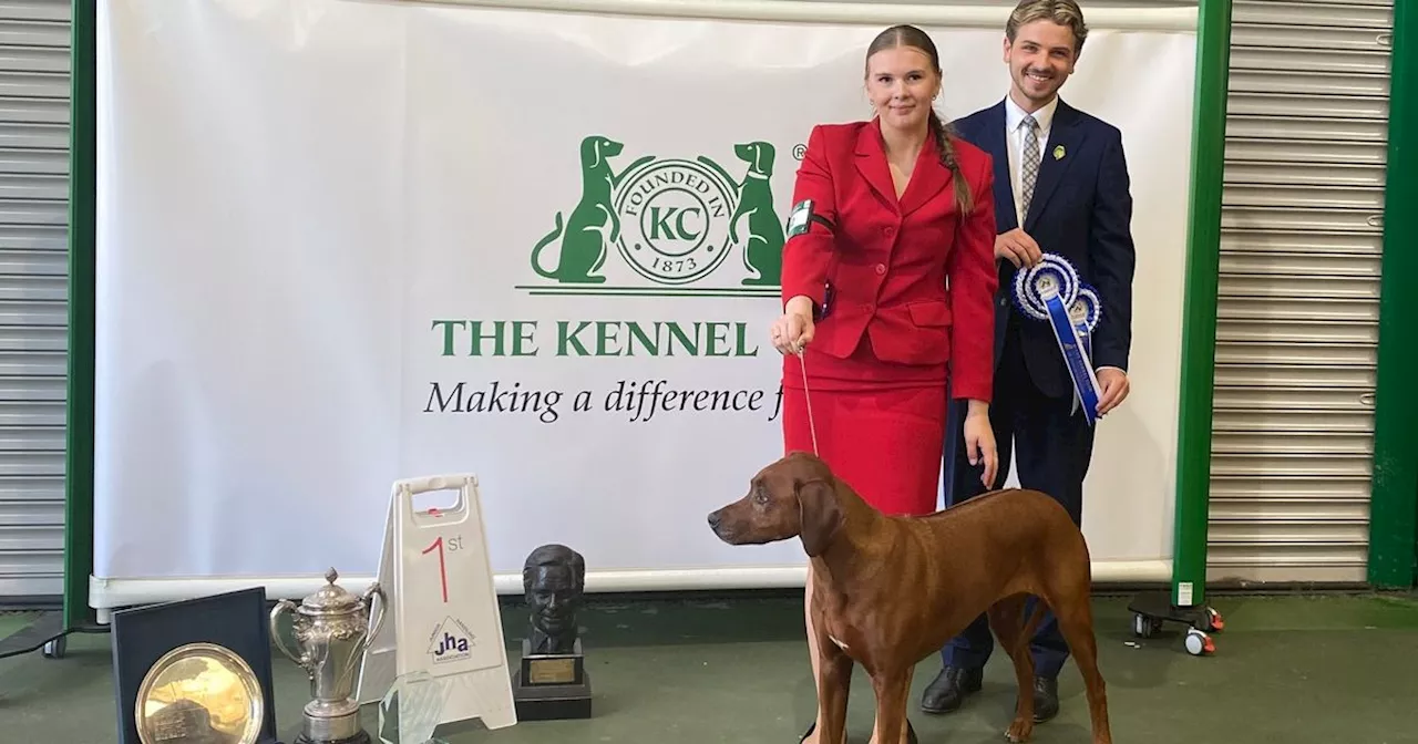 Cambuslang teenager Ellie has proven she can handle the pressure at Crufts