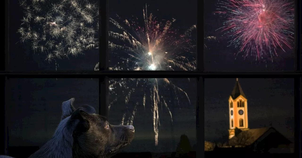 Five ways to soundproof your home from fireworks for pets on Bonfire night