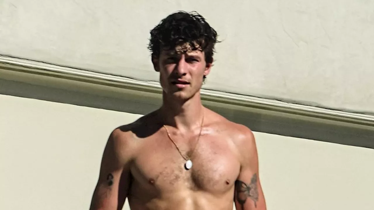 Shawn Mendes shows off his ripped physique as he goes shirtless on Halloween in Los Angeles