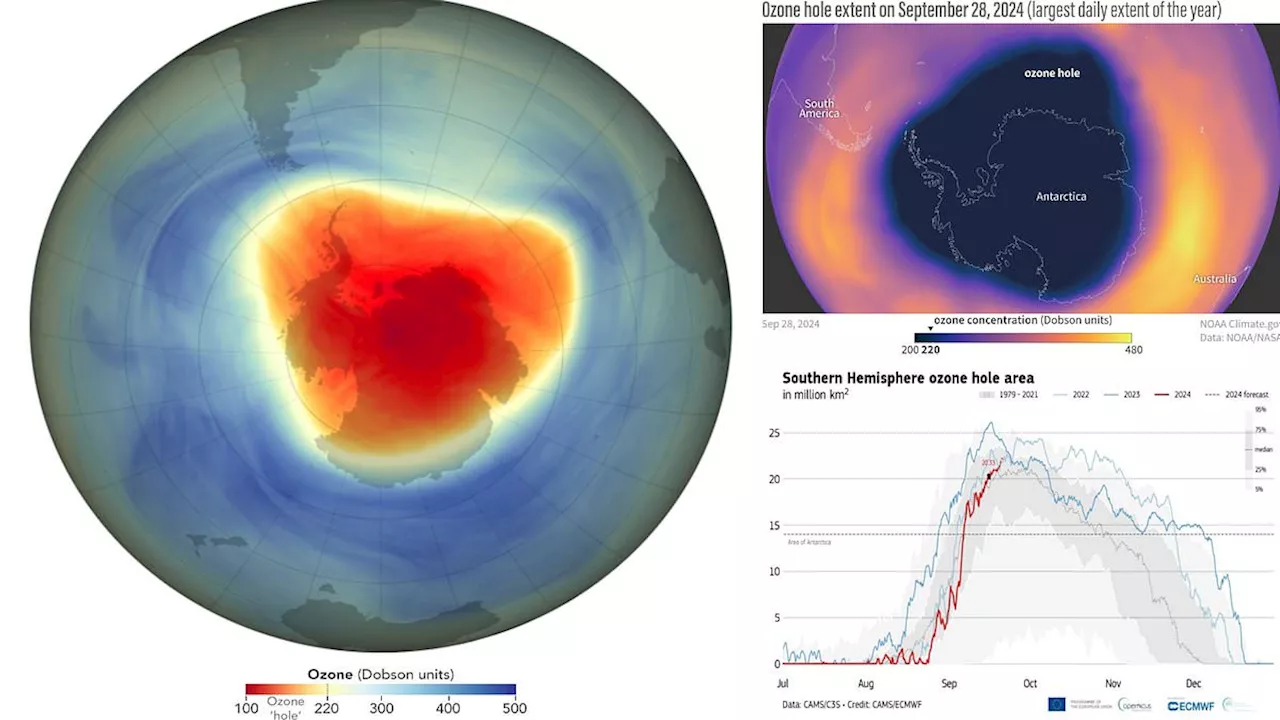 Revealed: 2024 ozone hole over the Antarctic is declared the 7th-smallest since 1992 as NASA predict...