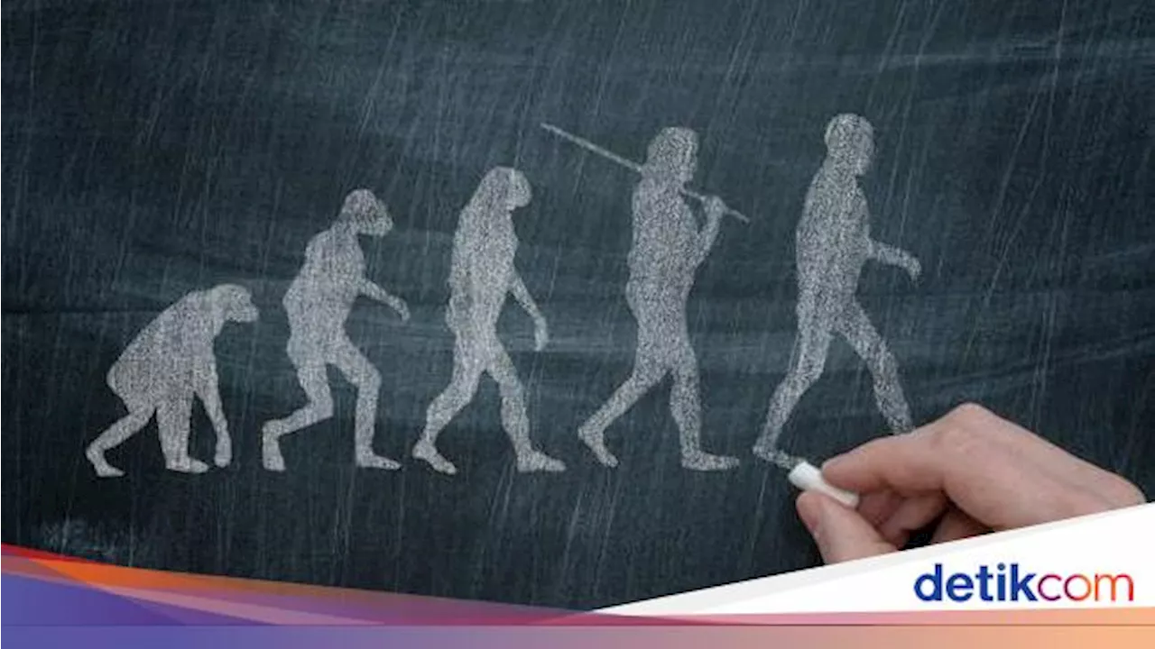 Cahaya Ternyata Memengaruhi Evolusi Manusia, Termasuk Kecenderungan Alami Miopi