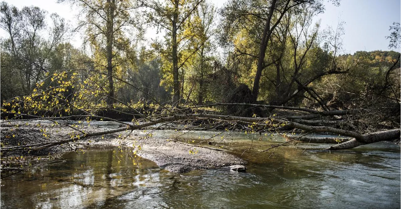 Wie steht‘s um Österreichs Biodiversität?