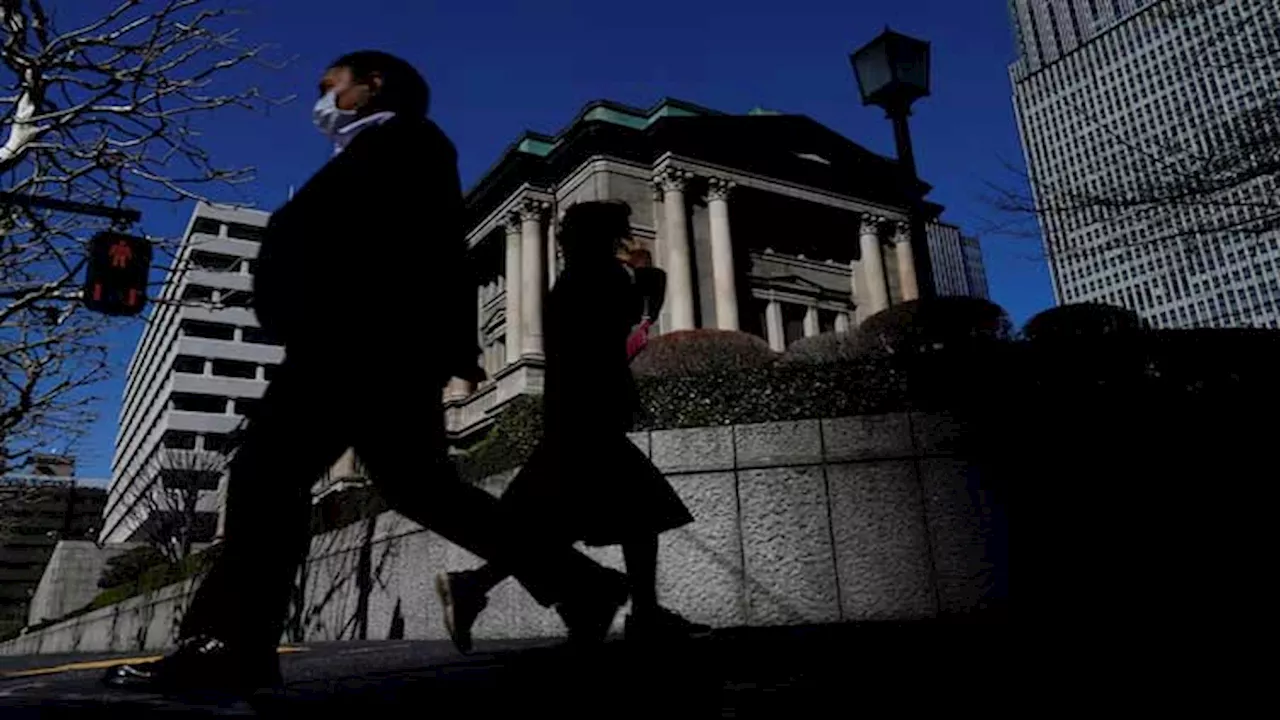 Japan political turmoil a risk for BOJ December hike, former board member says