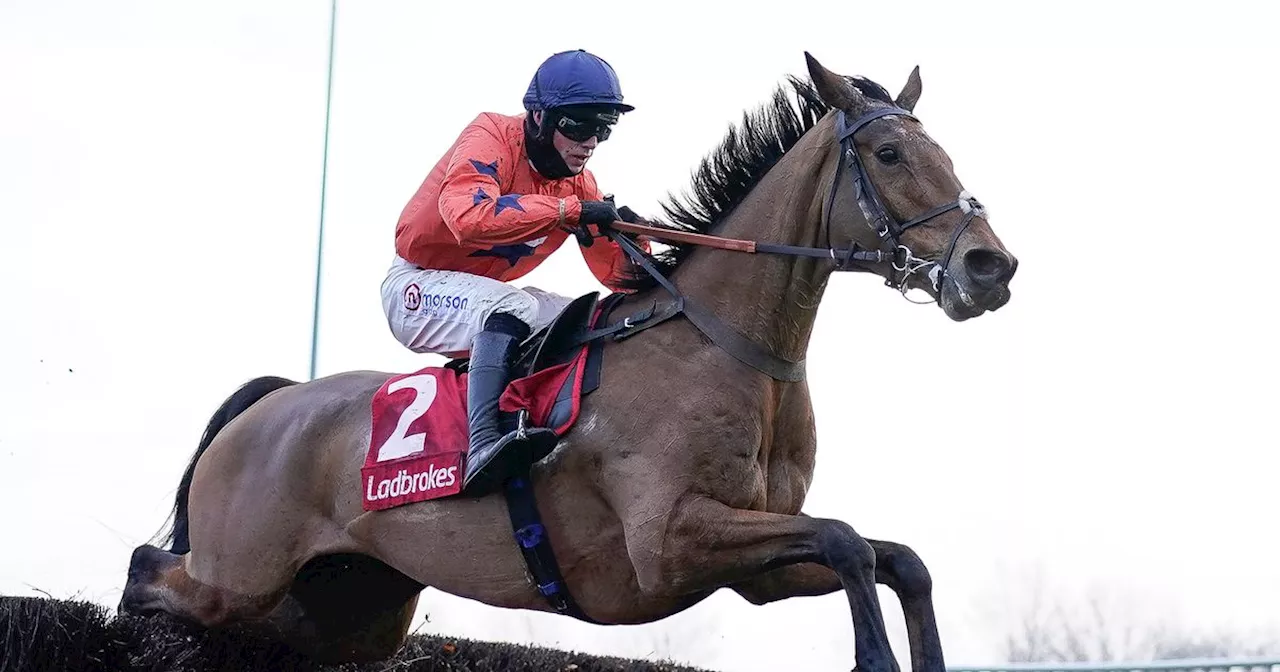 Horse Power: Bravemansgame can win the Charlie Hall Chase at Wetherby