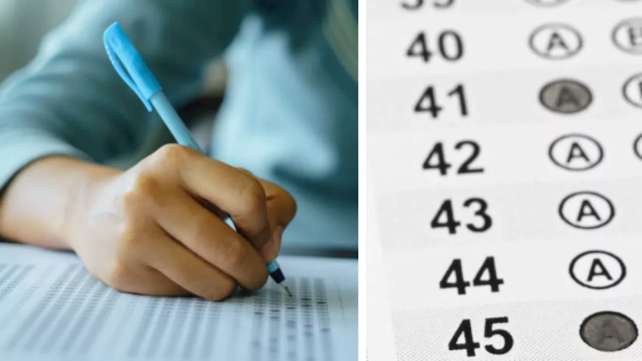 ¿Cómo consultar el resultado de las pruebas Icfes? Este es el paso a paso y así puede entenderlo