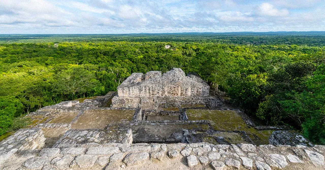 Scientist Accidentally Discovers Ancient Mayan City While Browsing Web