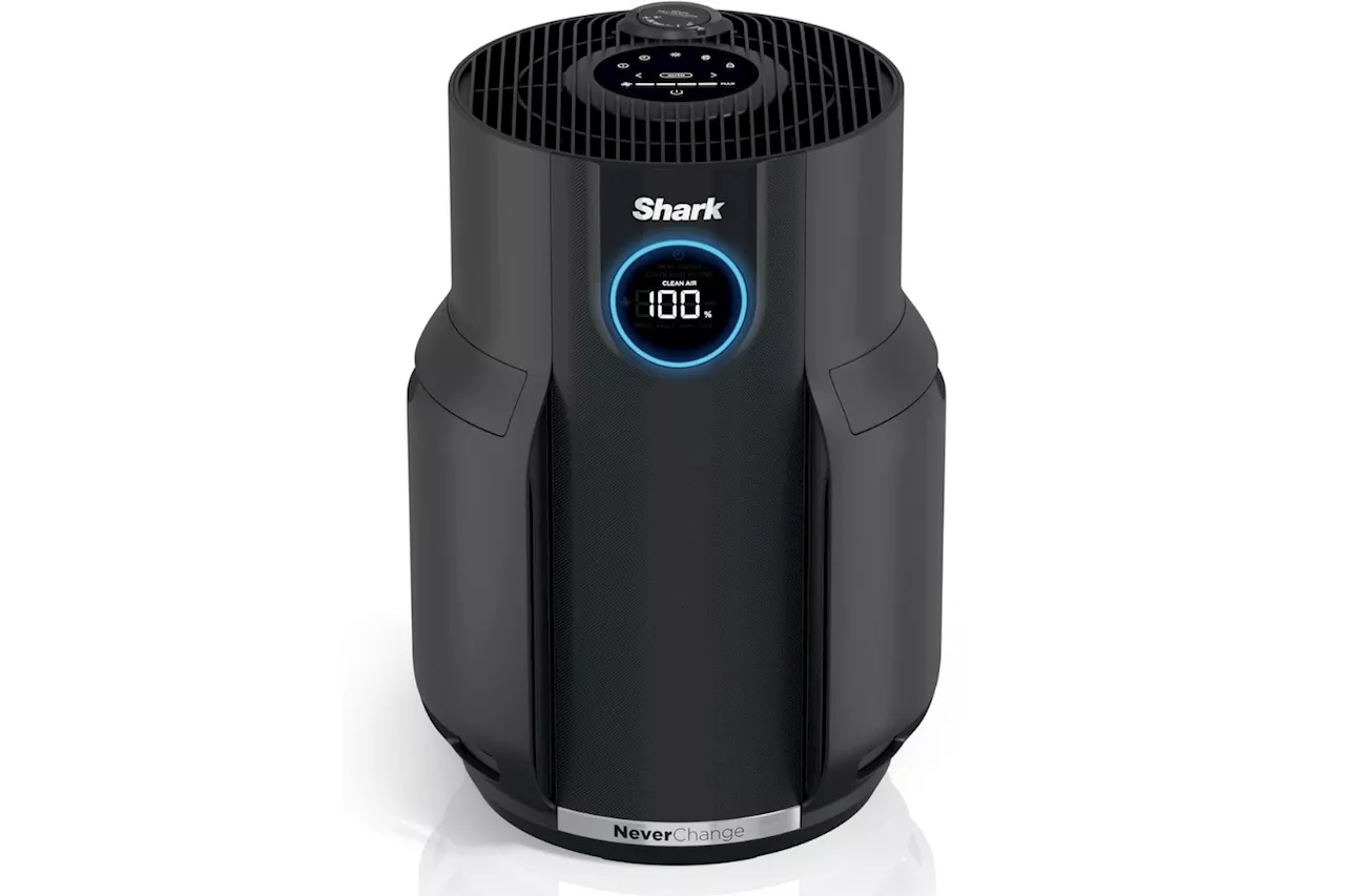 This Shark Air Purifier Hits All-Time Low Price on Amazon for Early Black Friday