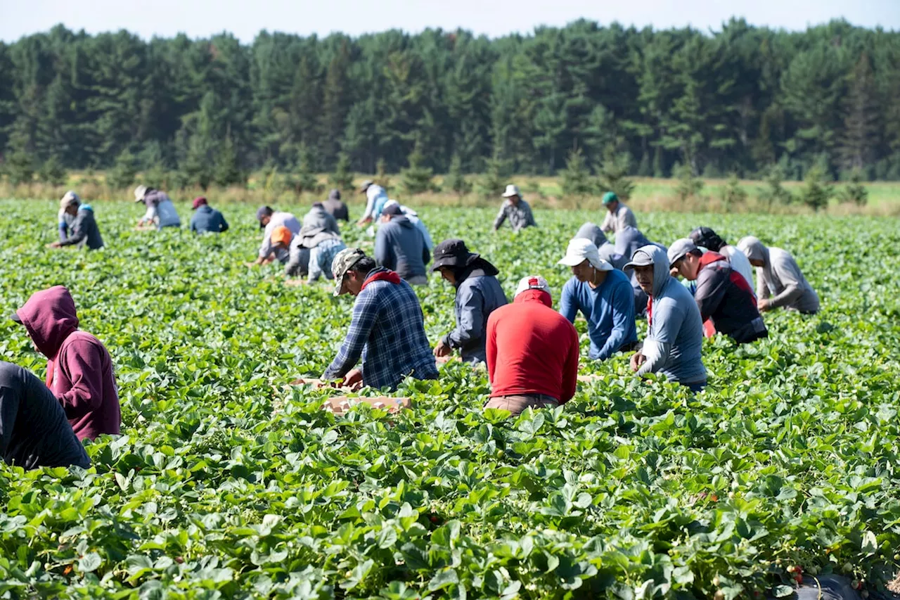 Ottawa’s immigration cut is a chance to boost productivity