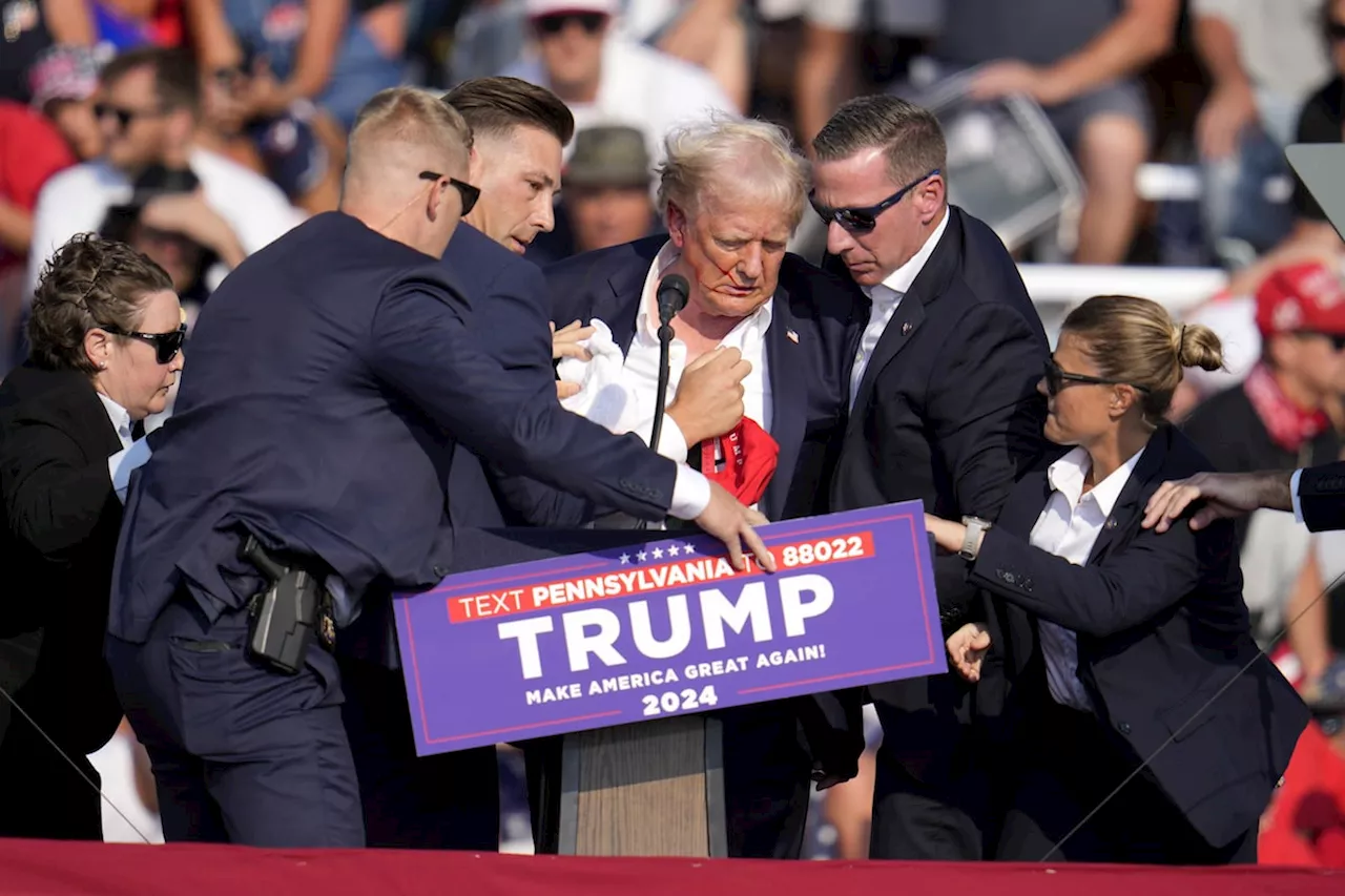 Secret Service report offers new details on failures during Donald Trump assassination attempt