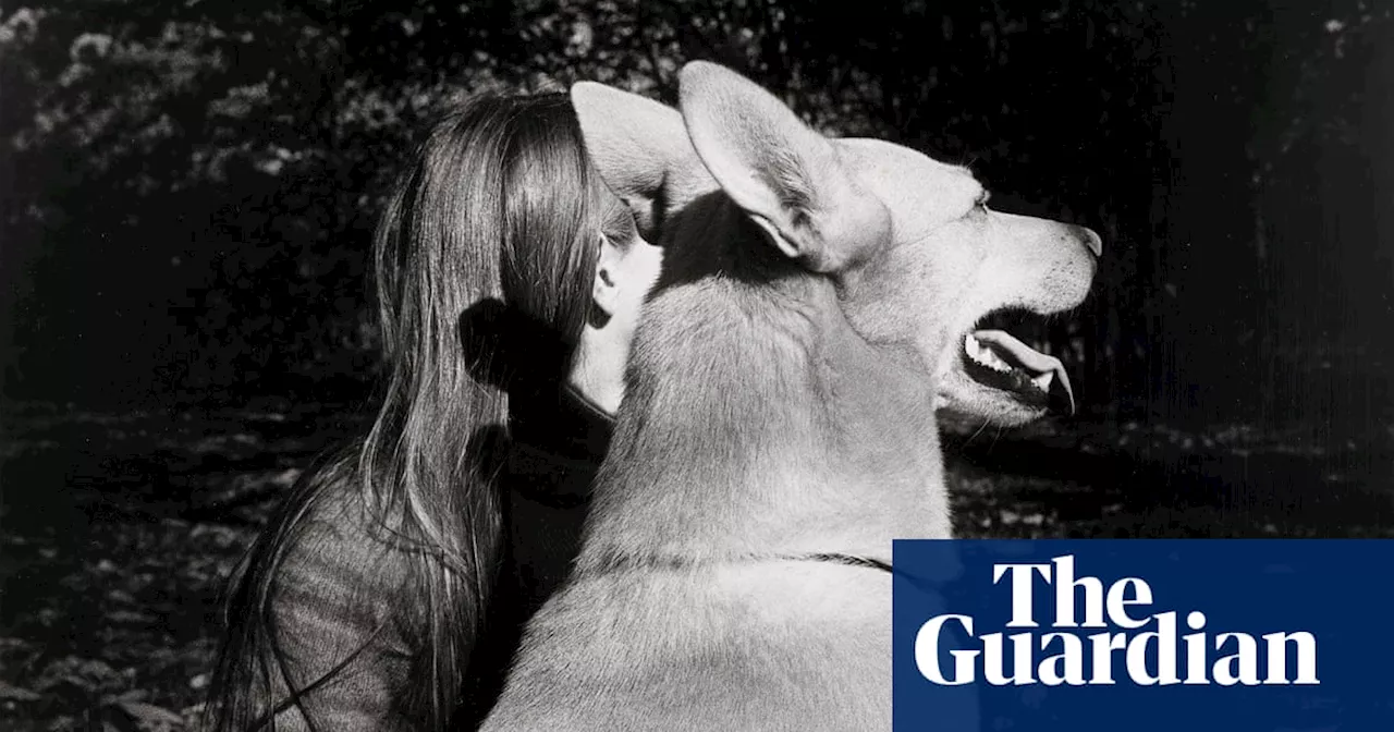 Cats and dogs: NGV celebrates the good boys and complicated kitties of art